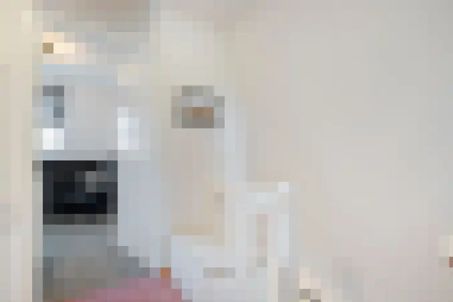 Ulgerkamp 1 Zwolle thumbnail 30