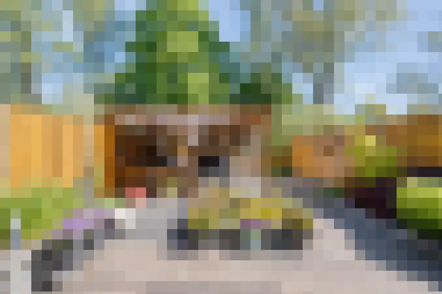 Ulgerkamp 1 Zwolle thumbnail 40