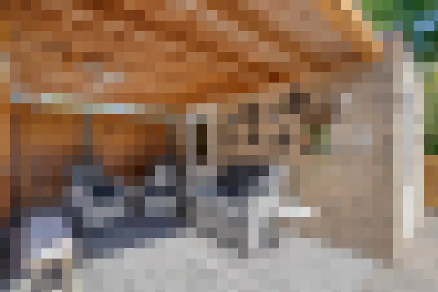 Ulgerkamp 1 Zwolle thumbnail 41