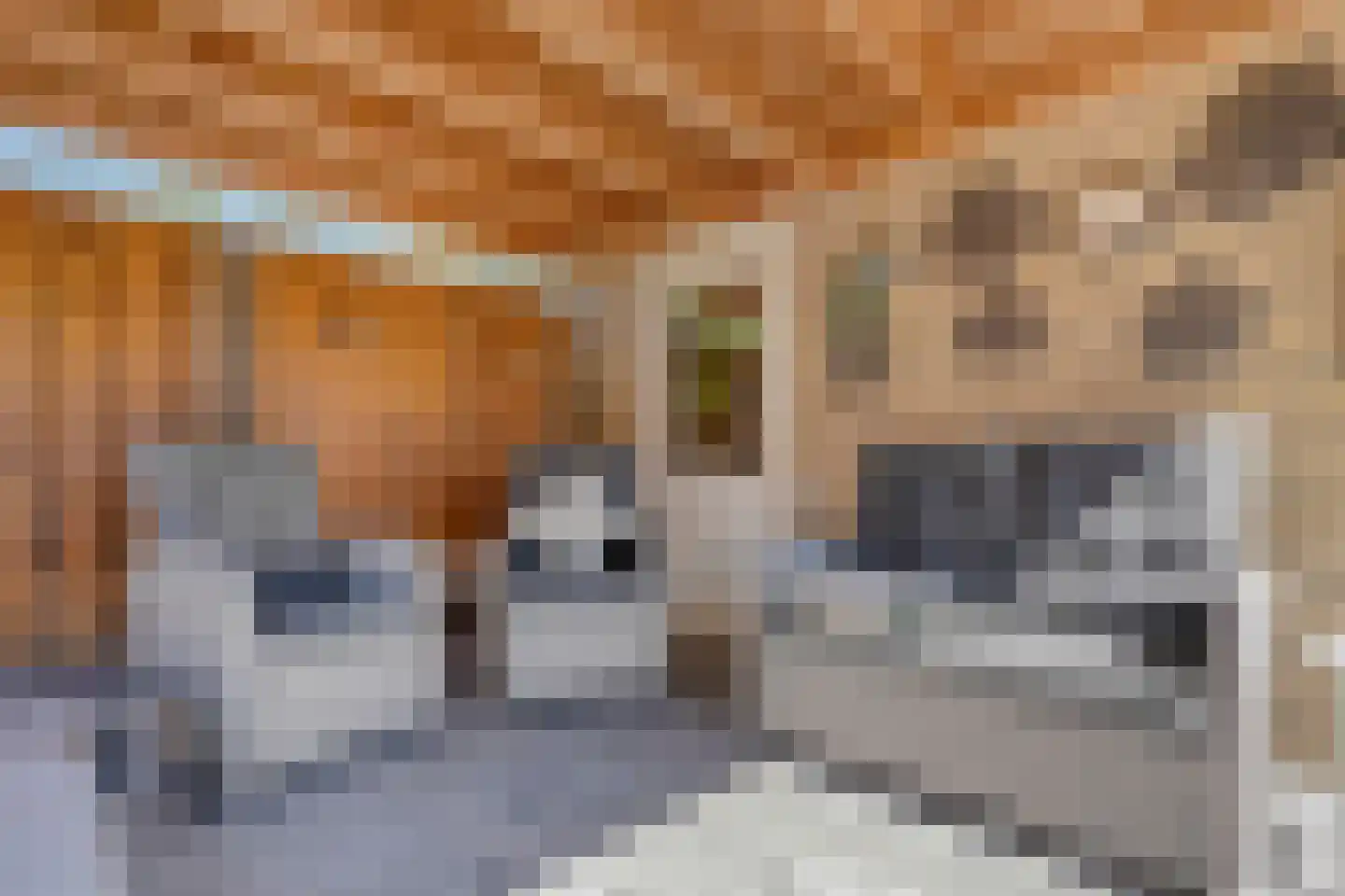 Ulgerkamp 1 Zwolle thumbnail 43