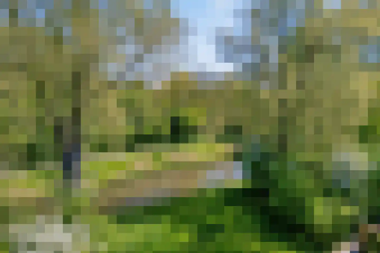 Ulgerkamp 1 Zwolle thumbnail 47