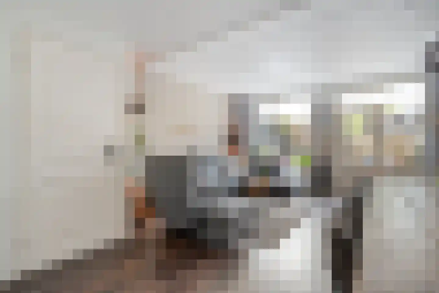 Ulgerkamp 10 Zwolle thumbnail 11