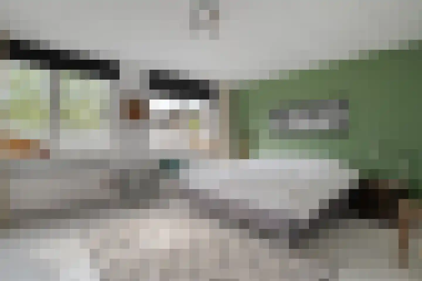 Ulgerkamp 10 Zwolle thumbnail 19