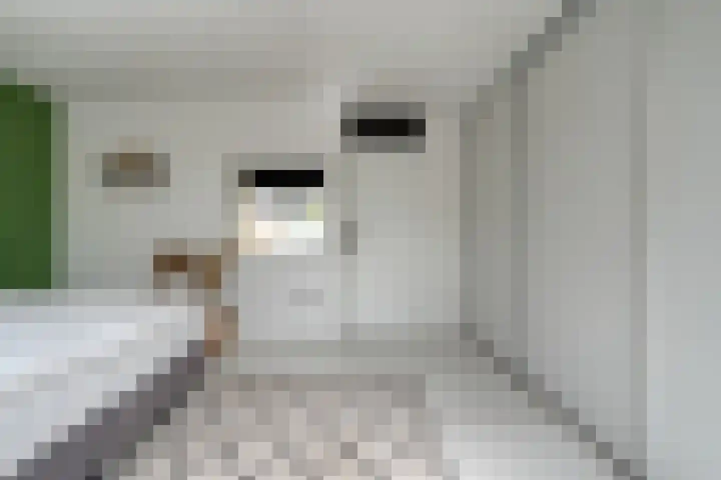 Ulgerkamp 10 Zwolle thumbnail 20