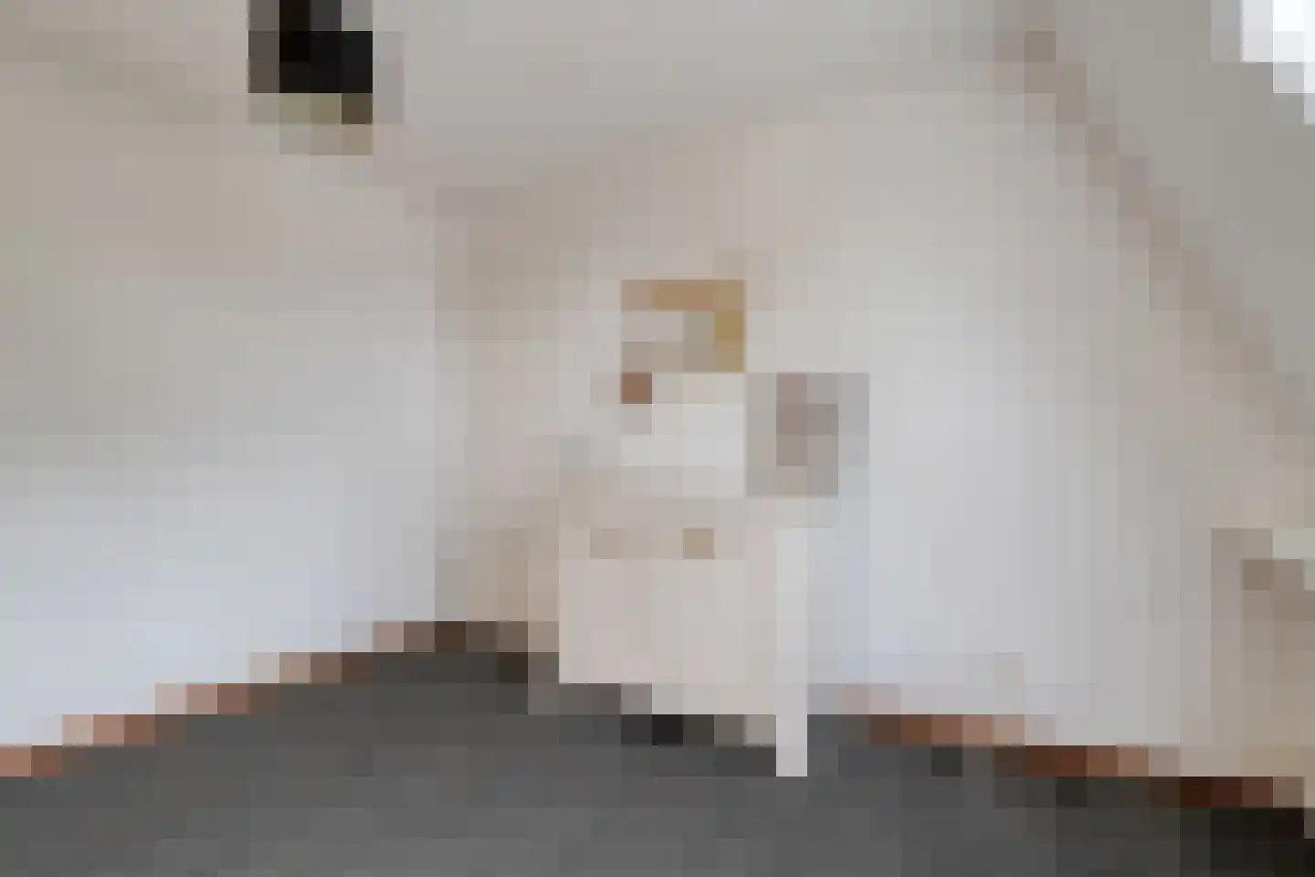 Ulgerkamp 10 Zwolle thumbnail 31