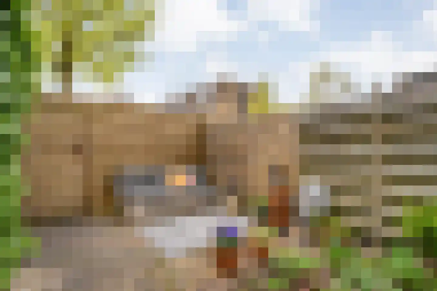 Ulgerkamp 10 Zwolle thumbnail 41