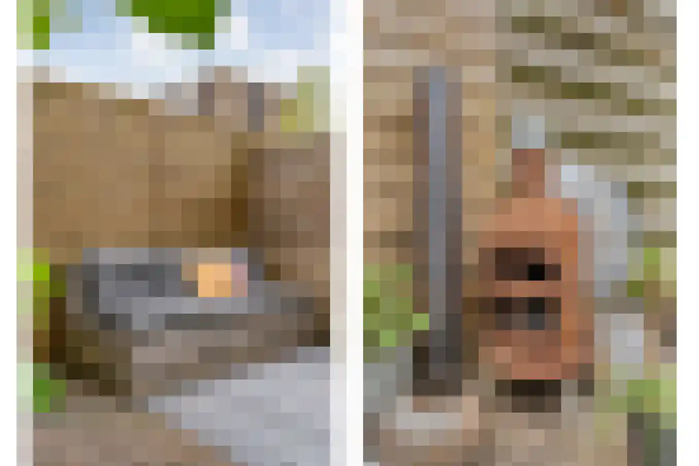 Ulgerkamp 10 Zwolle thumbnail 42
