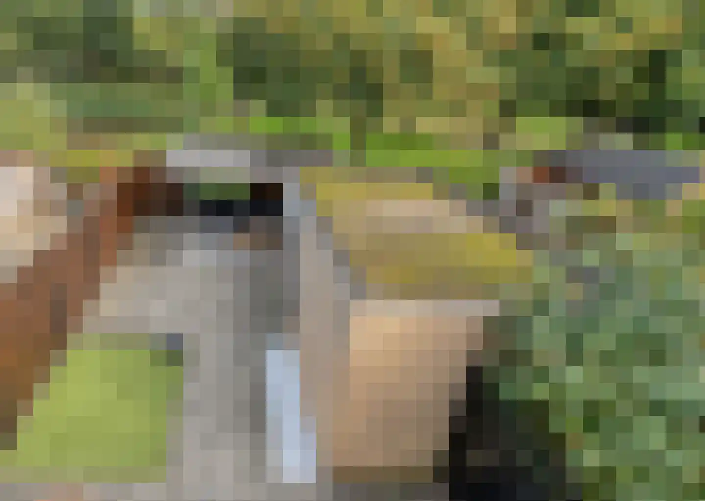 Ulgerkamp 19 Zwolle thumbnail 24
