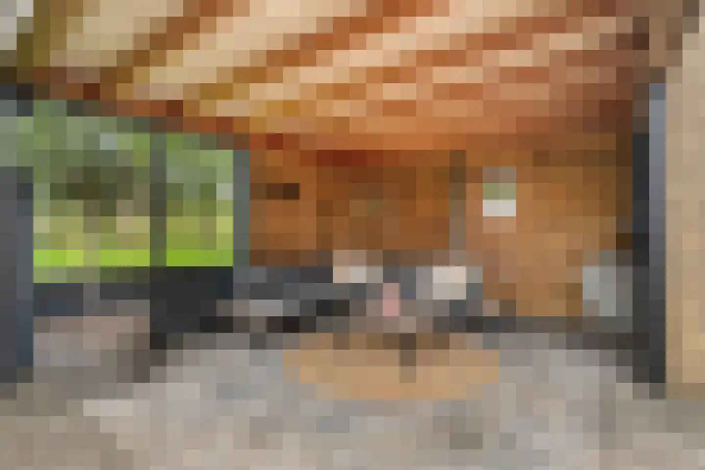 Ulgerkamp 19 Zwolle thumbnail 39