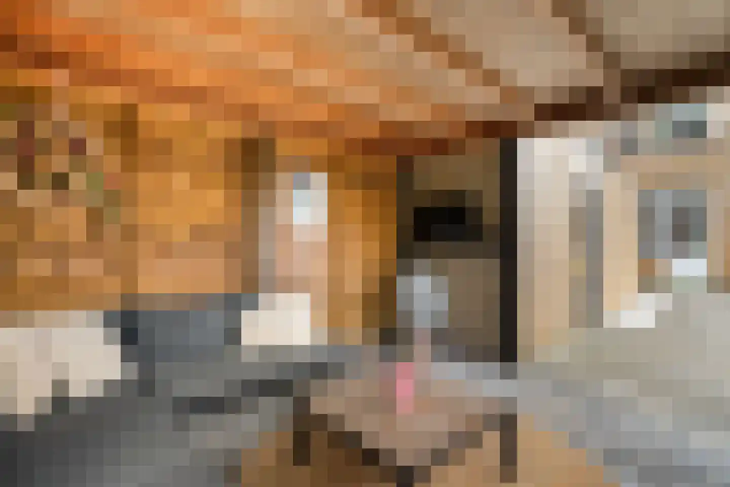 Ulgerkamp 19 Zwolle thumbnail 41