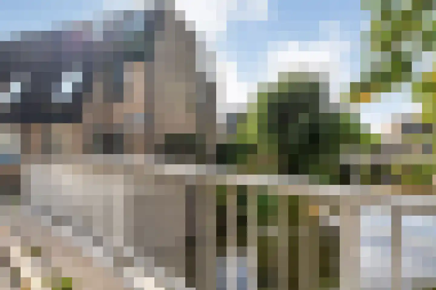 Ulgerkamp 19 Zwolle thumbnail 47