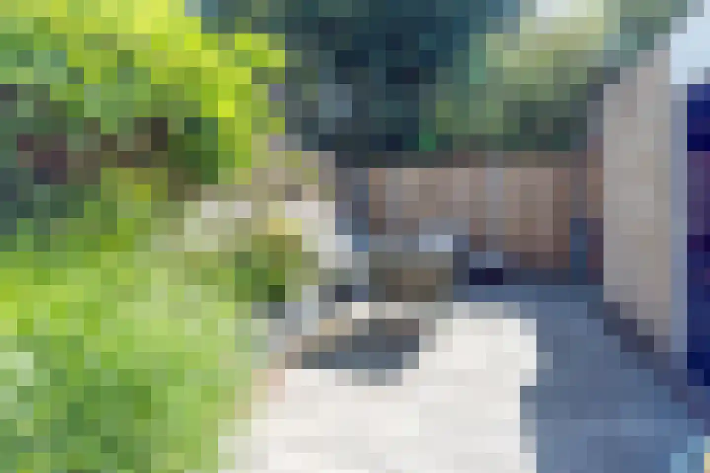 Ulgerkamp 45 Zwolle thumbnail 36