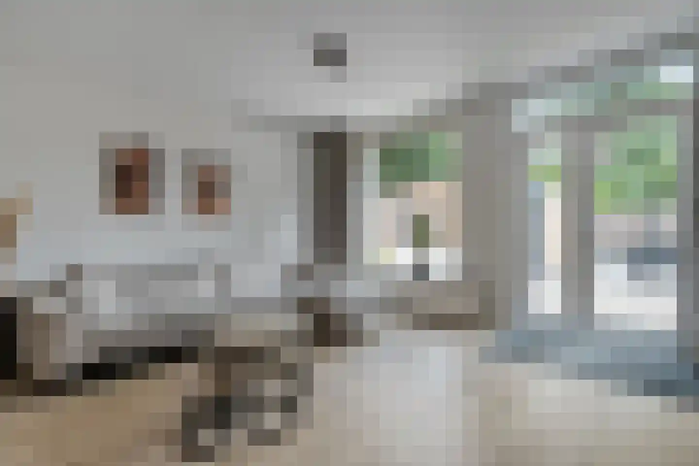 Ulgerkamp 5 Zwolle thumbnail 10
