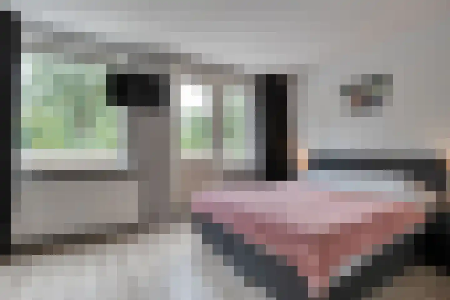 Ulgerkamp 5 Zwolle thumbnail 27