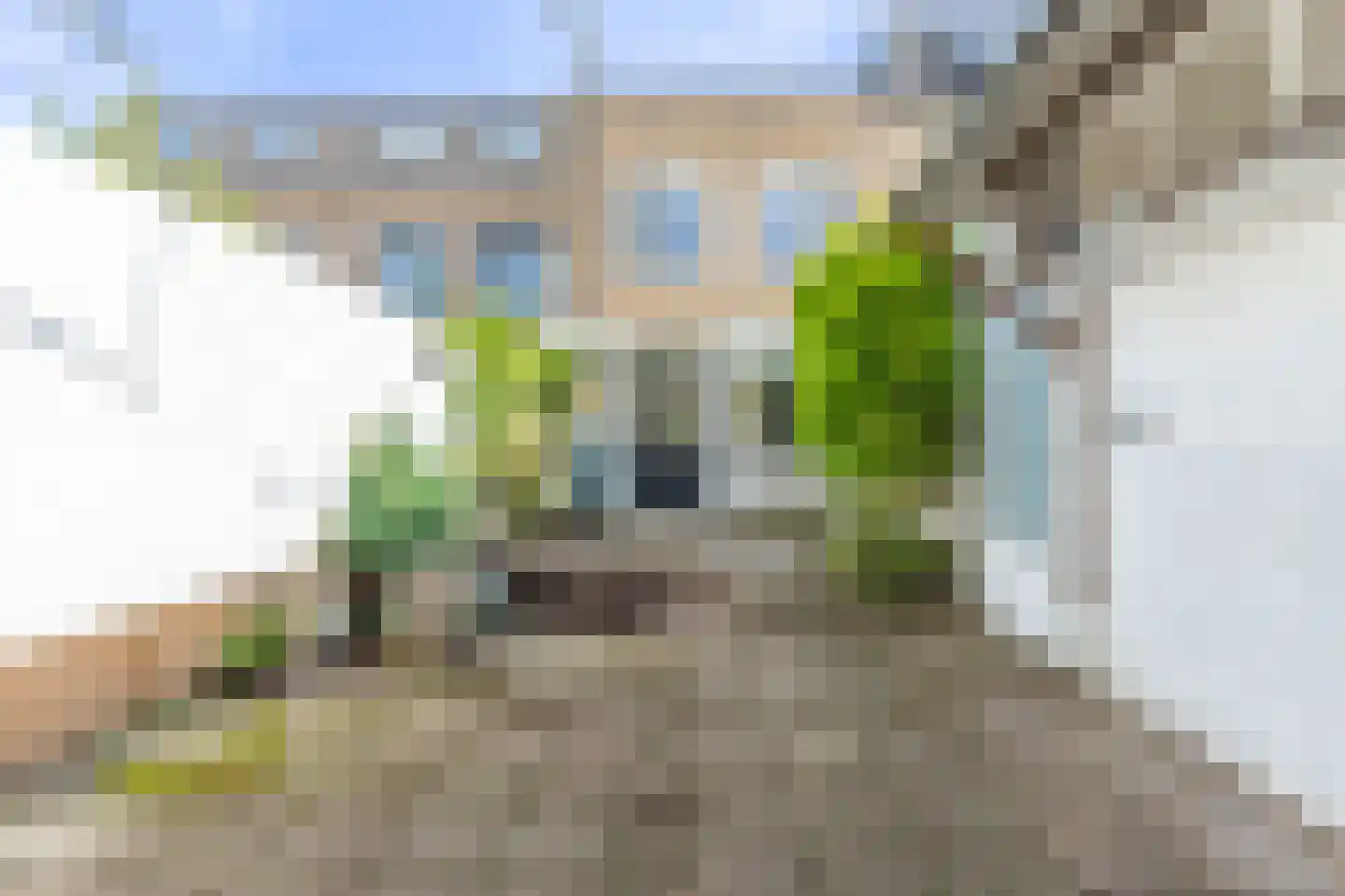 Ulgerkamp 6 Zwolle thumbnail 31