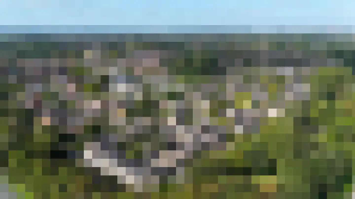 Ulgerkamp 6 Zwolle thumbnail 4