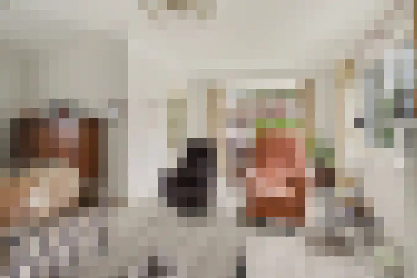 Ulicotenseweg 21 Chaam thumbnail 11