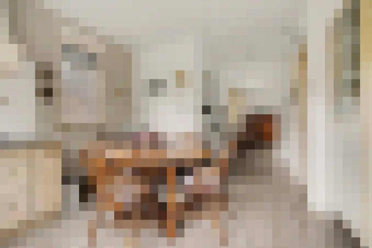 Ulicotenseweg 21 Chaam thumbnail 14