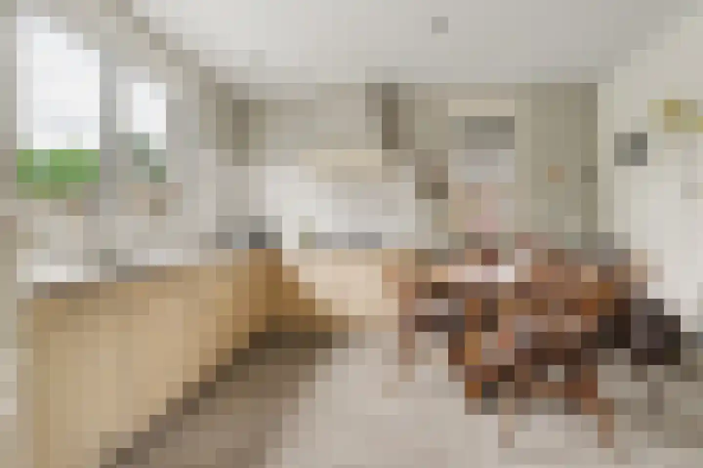 Ulicotenseweg 21 Chaam thumbnail 16