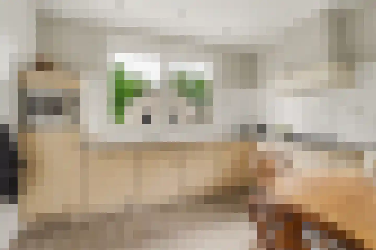 Ulicotenseweg 21 Chaam thumbnail 17