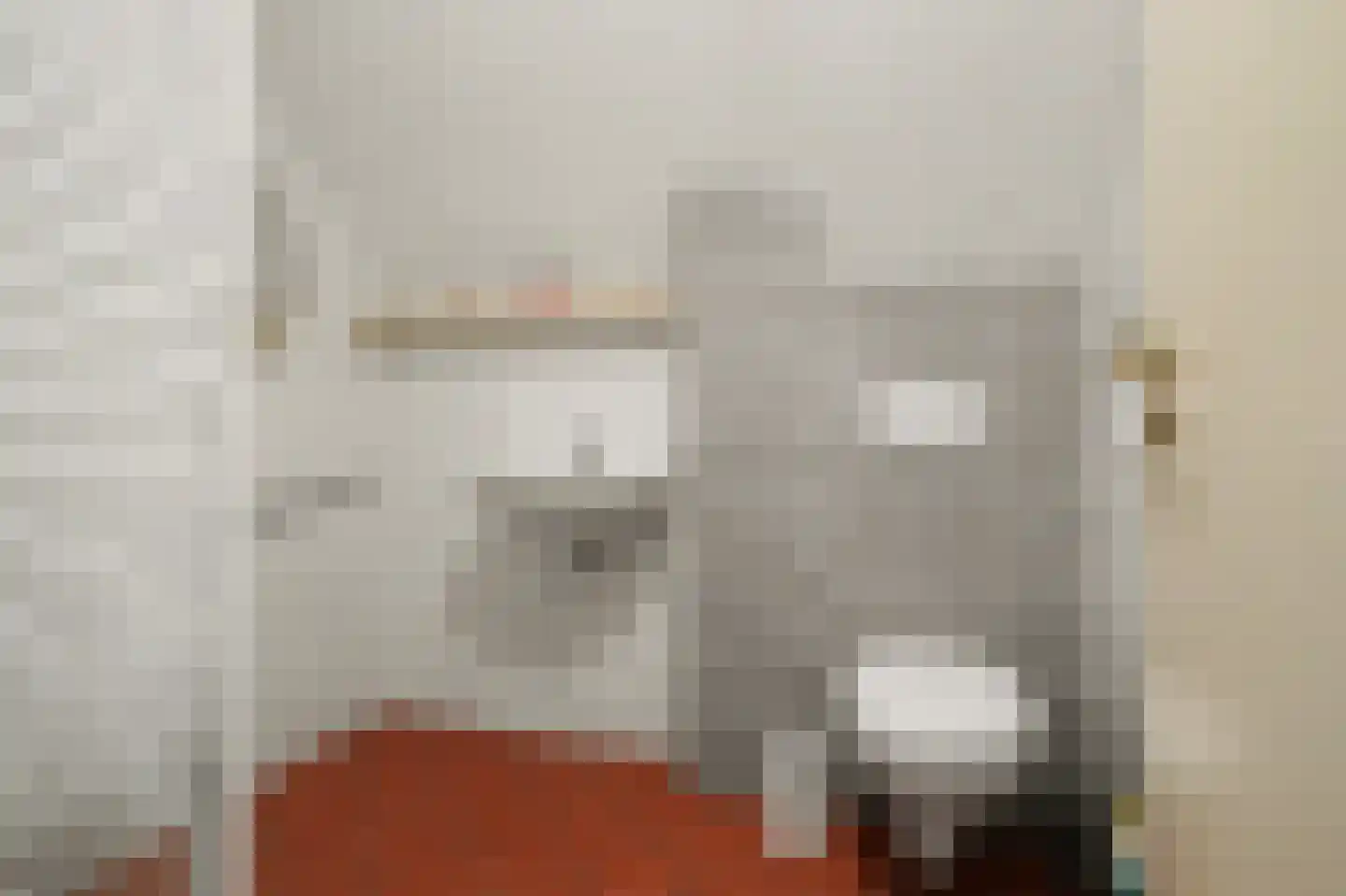 Ulicotenseweg 21 Chaam thumbnail 30
