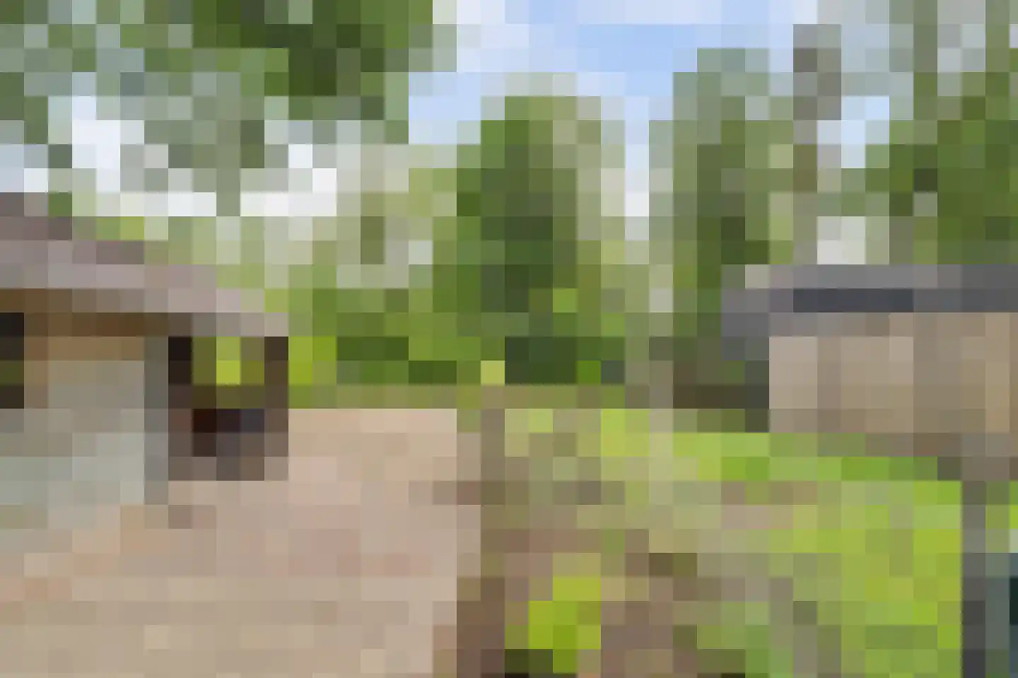 Ulicotenseweg 21 Chaam thumbnail 40
