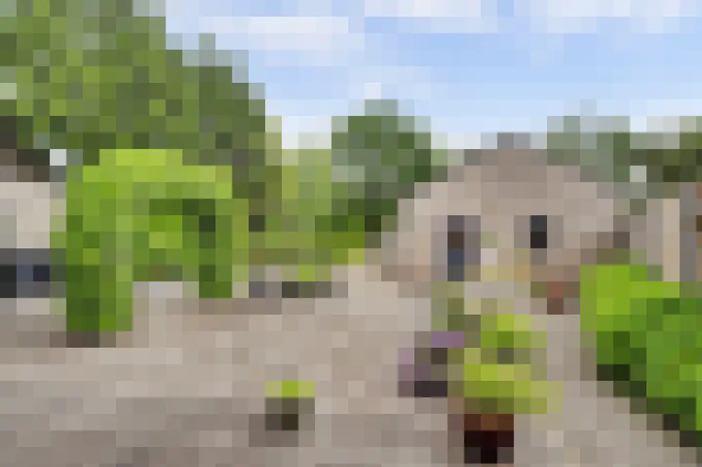 Ulicotenseweg 21 Chaam thumbnail 5
