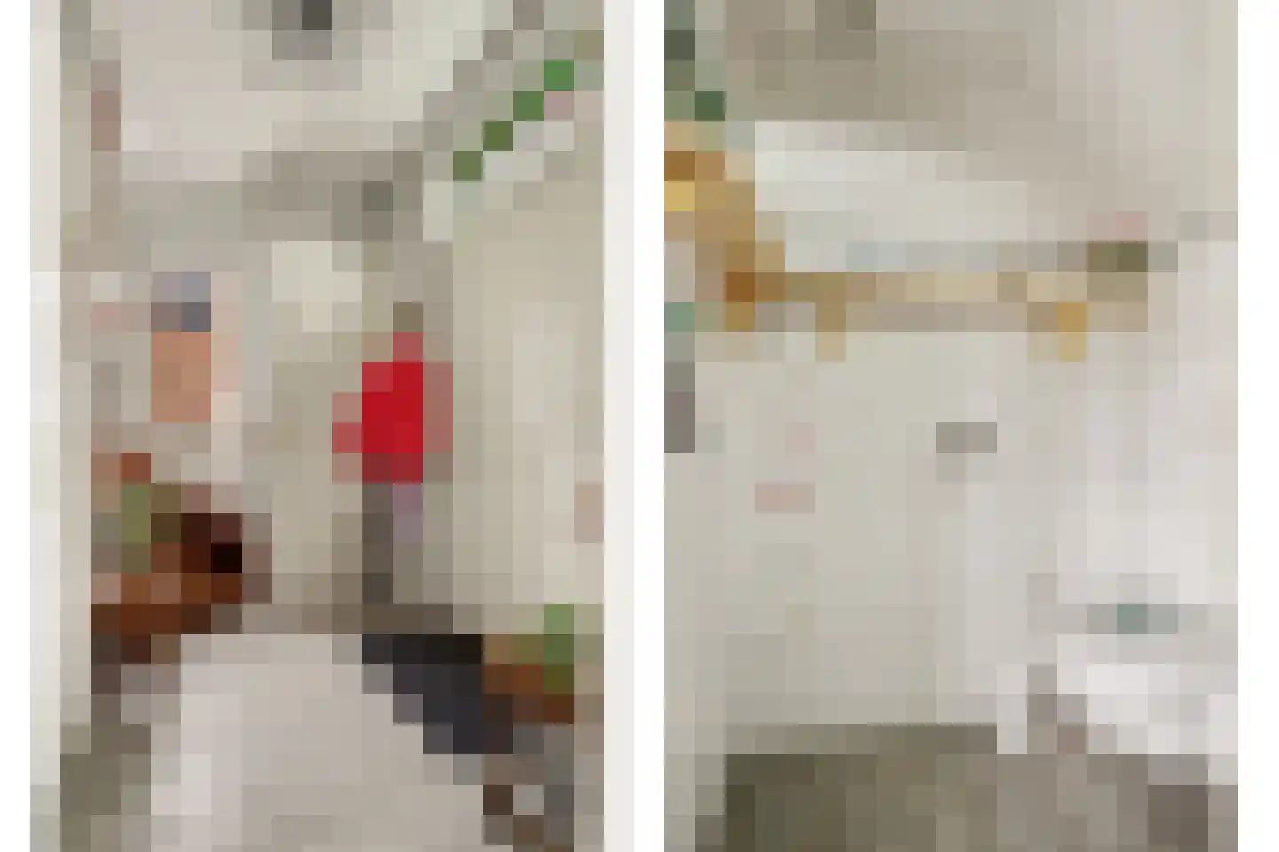 Ulicotenseweg 21 Chaam thumbnail 8