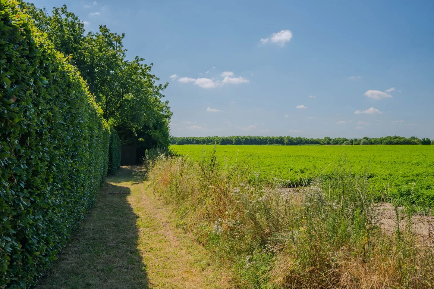 Ulingshofweg 25 Venlo thumbnail 85
