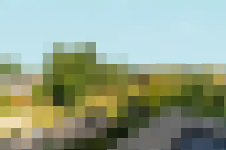 Ulkenpad 1 d Huissen thumbnail 17