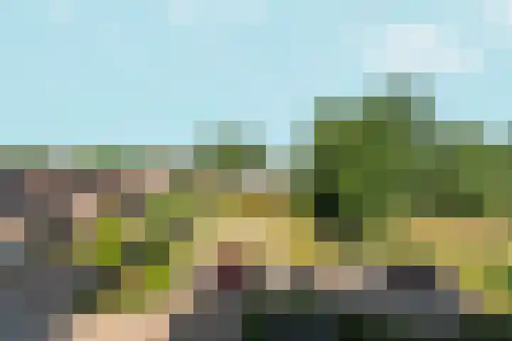 Ulkenpad 1 d Huissen thumbnail 18