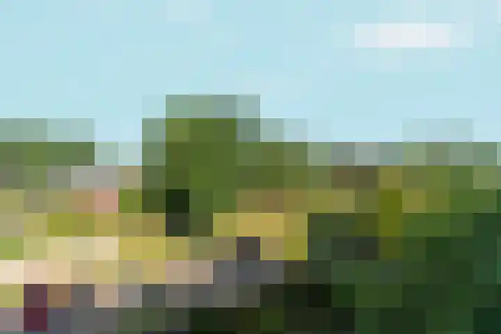 Ulkenpad 1 d Huissen thumbnail 19