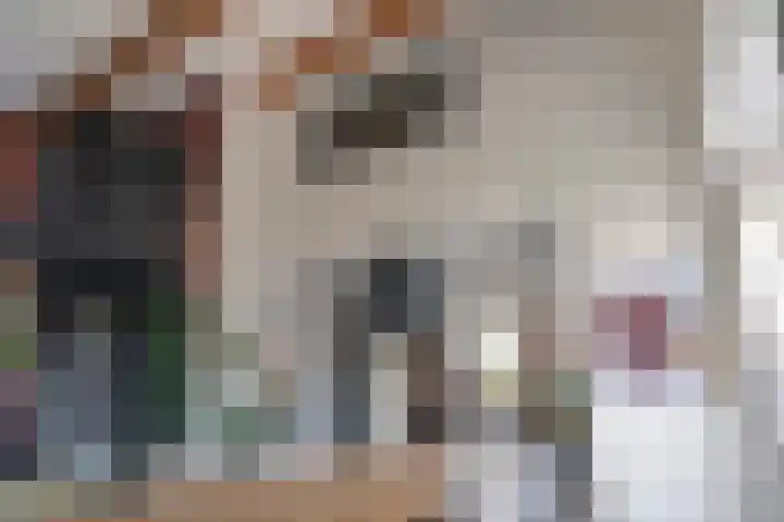 Ulkenpad 1 d Huissen thumbnail 23