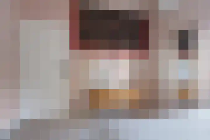 Ulkenpad 1 d Huissen thumbnail 36