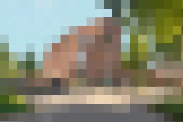 Ulkenpad 1 d Huissen thumbnail 4
