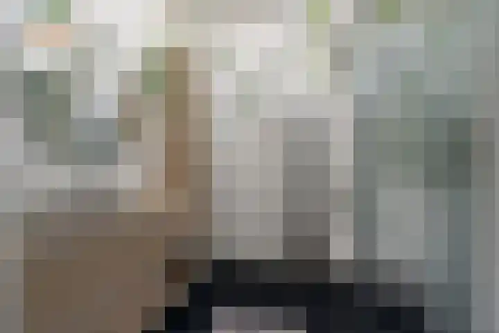 Ulkenpad 1 d Huissen thumbnail 40
