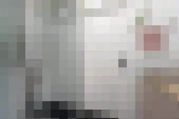 Ulkenpad 1 d Huissen thumbnail 41