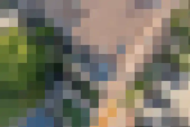 Ulkenpad 1 d Huissen thumbnail 49