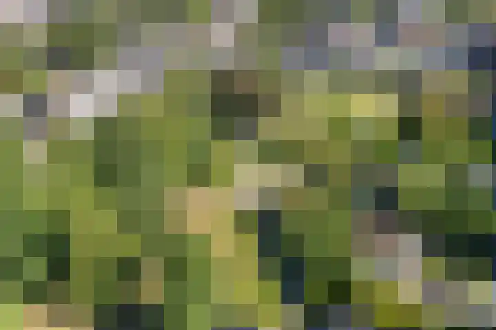 Ulkenpad 1 d Huissen thumbnail 50
