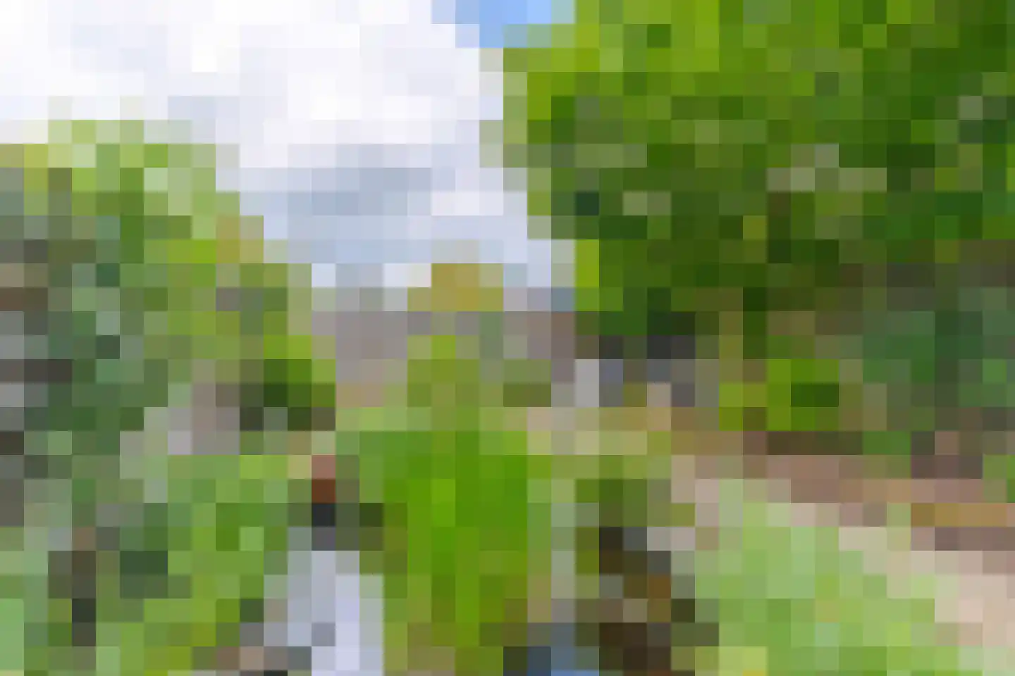 Ulkenpad 56 Huissen thumbnail 16