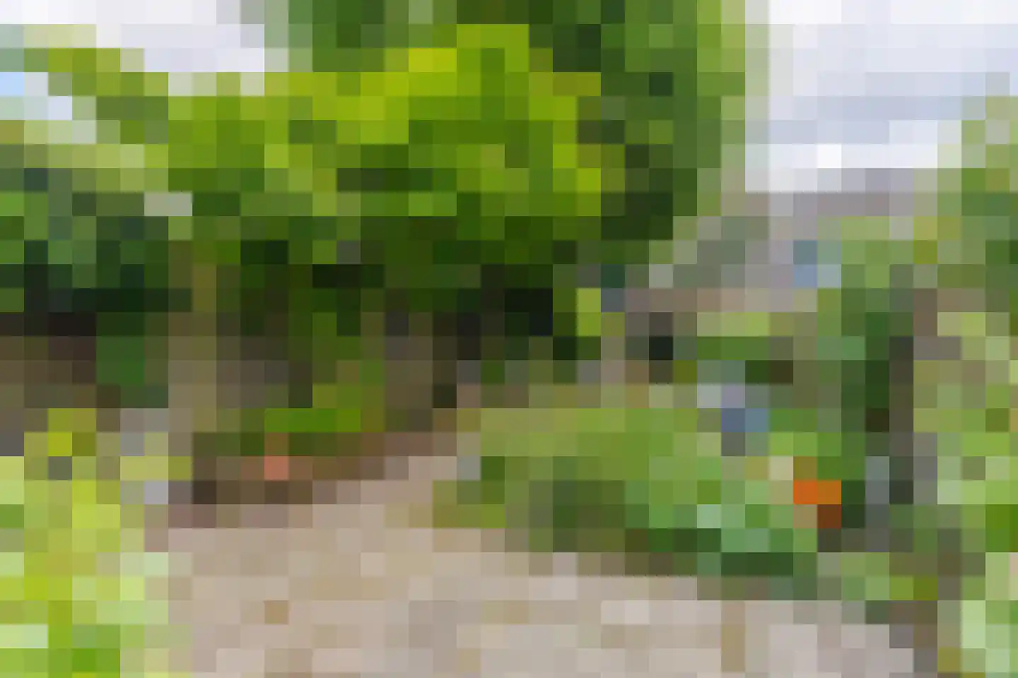 Ulkenpad 56 Huissen thumbnail 17
