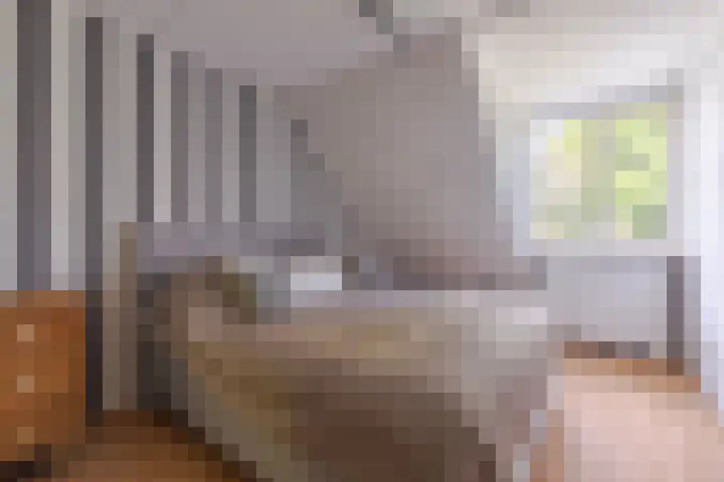 Ulkenpad 56 Huissen thumbnail 20