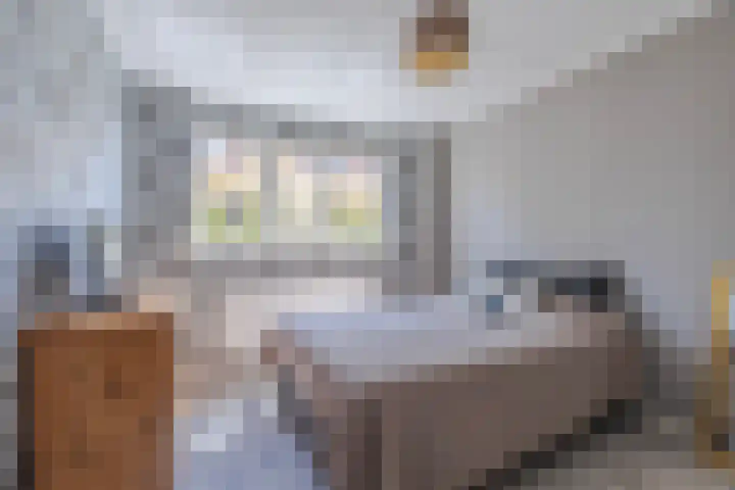 Ulkenpad 56 Huissen thumbnail 22