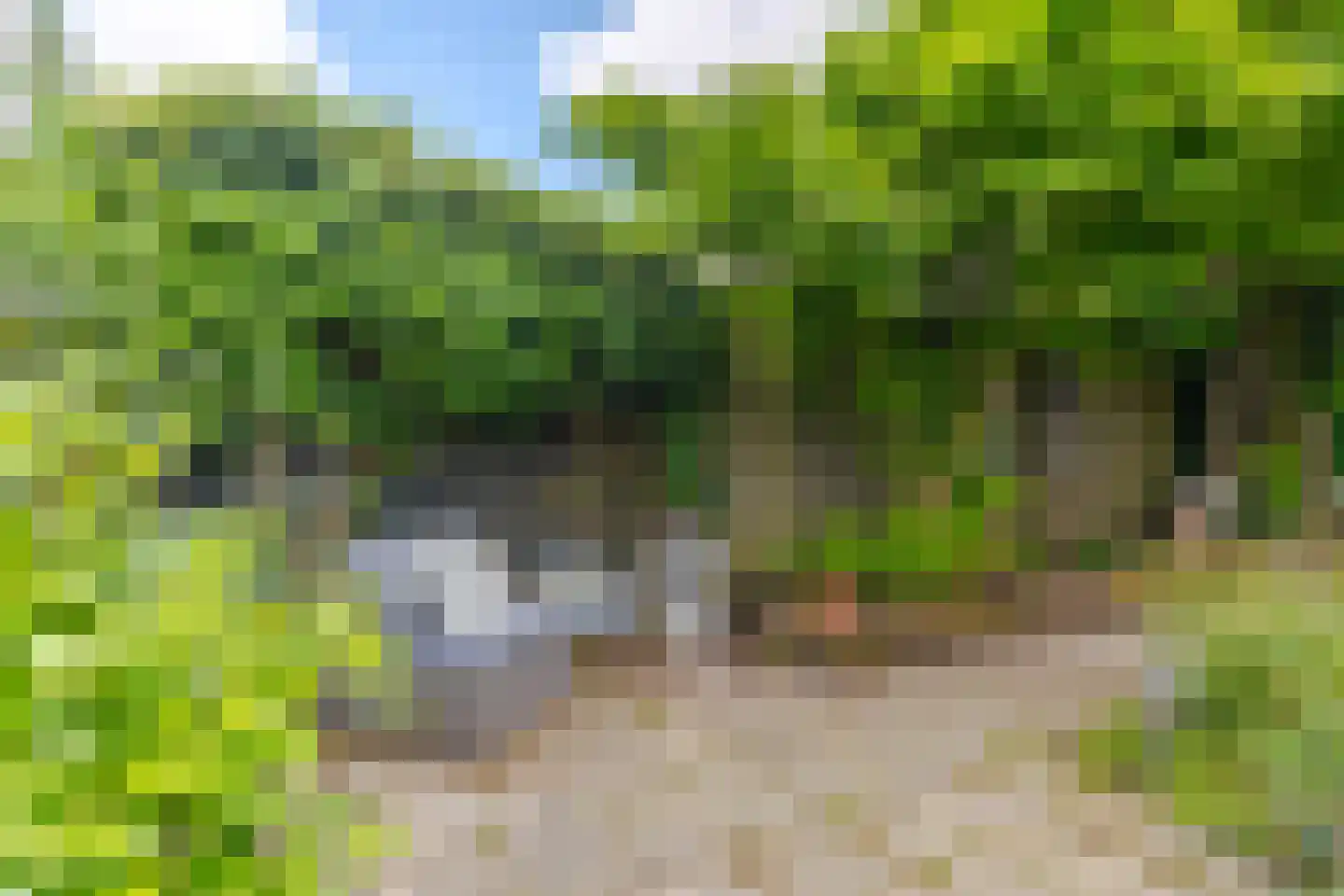 Ulkenpad 56 Huissen thumbnail 32