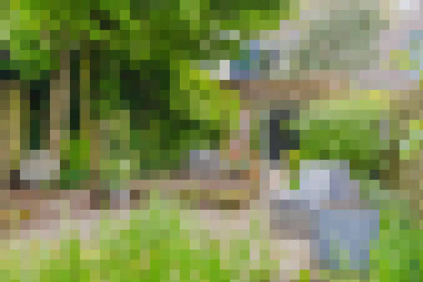 Ulkenpad 56 Huissen thumbnail 33