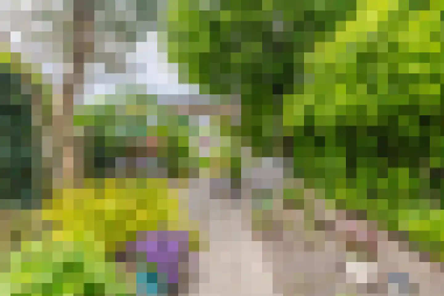 Ulkenpad 56 Huissen thumbnail 34