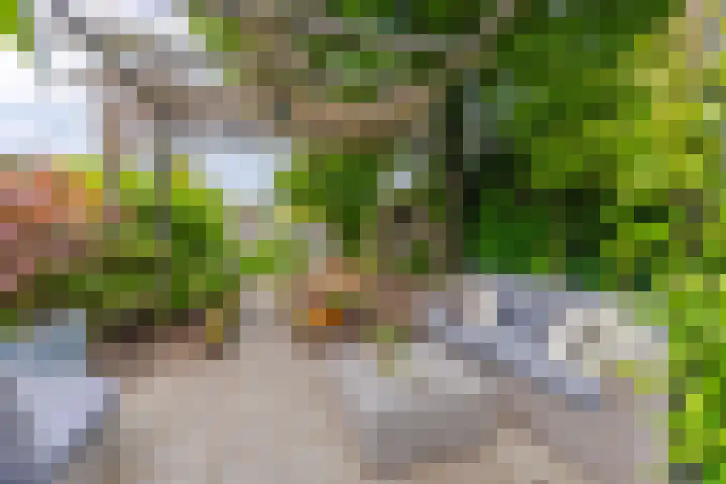 Ulkenpad 56 Huissen thumbnail 35