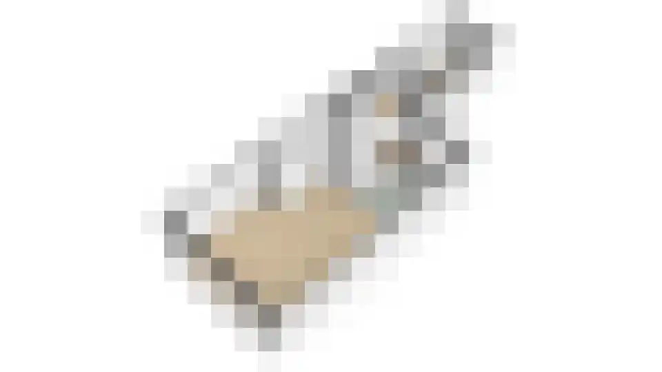 Ulkenpad 56 Huissen thumbnail 45