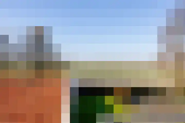 Ulkeweg 39 Slootdorp thumbnail 23