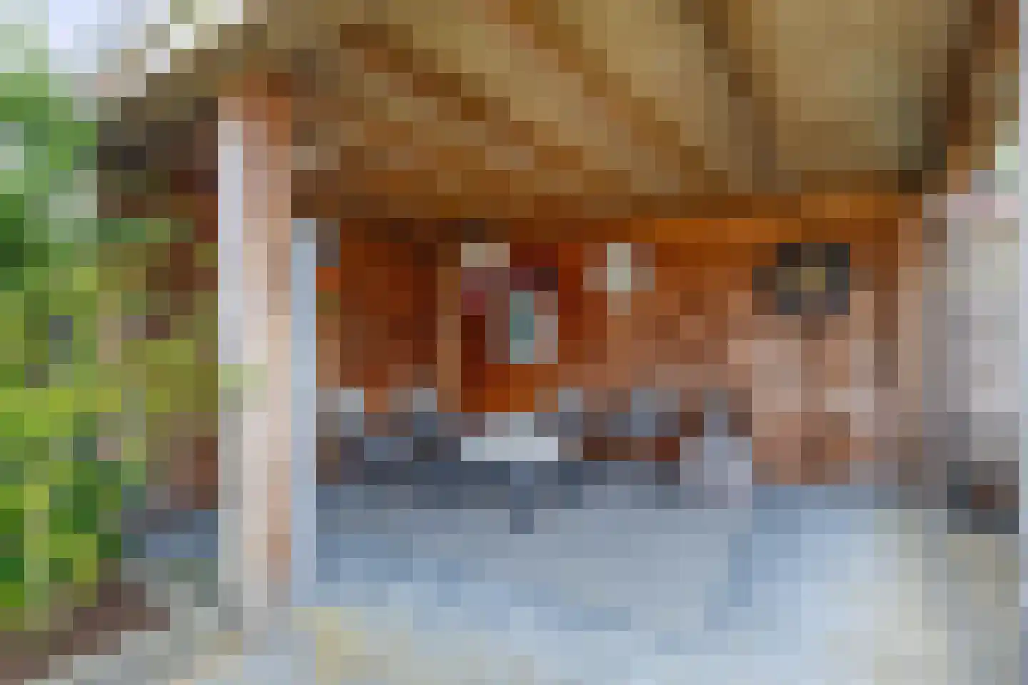 Ullerbergerhout 17 Harderwijk thumbnail 30